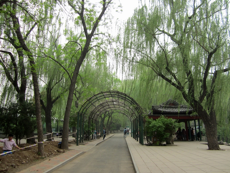 2012 China 135.jpg